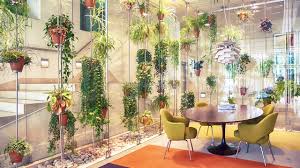 We don't all live in climates that let us grow outdoor flowers, though. The Best Indoor Plants For Australian Offices