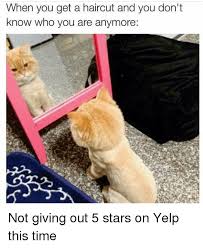 This hairstyle has a strong middle and today, not everyone requires fine hair to wear this hairstyle. When You Get A Haircut And You Don T Know Who You Are Anymore Not Giving Out 5 Stars On Yelp This Time Cats Meme On Me Me