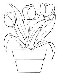 Pin Di Coloring Pages For Kids
