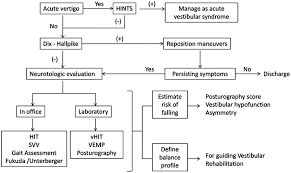 proposed flowchart for the management of dizziness in