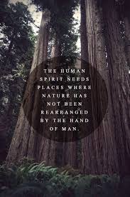 A Huge Part Of Prana Philosophy Nature Quotes Nature Inspiration