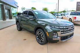 Image result for Rockwood Green 2025 Santa Cruz