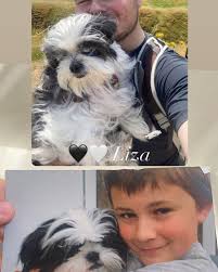 From the steep winding streets of Barmouth is the overhanging gorgeous view  from the gorse-cover kill known as Dinas Oleu! This means  'Fortress'/'Citadel of Light' Gifted to the National Trust by Mrs