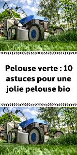 Pelouse Verte 10 Astuces Pour Une Jolie Pelouse Bio En 2020 Pelouse Verte Pelouse Jardinerie