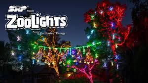 Image Result For Zoo Lights Phoenix Organizer Lantern Festival China Zoo Lights Fun Things To Do