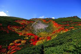 Image result for Denekia