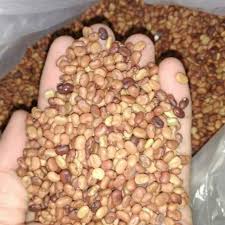 Daun dari jenis ini mengandung protein dan zat kapur yang tinggi dapat digunakan untuk pakan ternak ruminansia. Benih Turi Termurah Untuk Pakan Ternak Protein Tinggi 50 Gram Shopee Indonesia