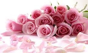 Harga karangan bunga sudah kami kelompokan menjadi karangan bunga papan, bunga buket/bucket, bunga meja, kotak bunga, bunga berdiri. Cara Membuat Buket Bunga Mawar Tws Florist