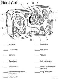 Learn the cell structures and how to identify and label them.like. Parts Of A Plant Cell Labeling Matching Distance Learning Plant Cell Labeled Plant Cells Worksheet Cells Worksheet