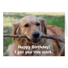 Funny Golden Retriever Dog Humor Happy Birthday Tap Personalize Buy Right No Funny Happy Birthday Meme Golden Retriever Funny Funny Happy Birthday Pictures