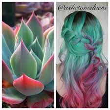 Mint Green Blue Purple Pink And Red Hair Pravanavivids Pravana Succulents By Asheton Sil Hair Colour Design Pastel Green Hair Green Hair Colors