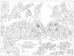 (zeitraum der grafik, aber falls nur ein jahr gegeben, dieser teil nicht mehr sagen). 51 Mandala Tiere Ideen Mandala Tiere Ausmalbilder Ausmalen