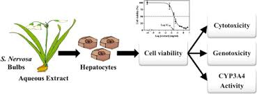 Image result for Schizocarphus nervosus