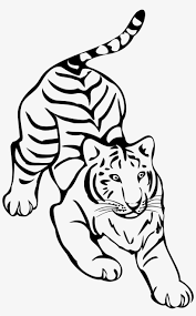 Tiger mascot stock photos images pictures shutterstock. Tiger Png Clipart Tiger Png Black And White Png Image Transparent Png Free Download On Seekpng