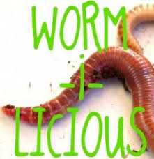 Wormilicious Podcast The Worm Composting Podcast Vermicomposting Red Worm Composting Worm Composting
