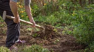 Die abgestochene scholle wird gewendet und an dem. Garten Umgraben Zeitpunkt Gerate Und Anleitung Utopia De
