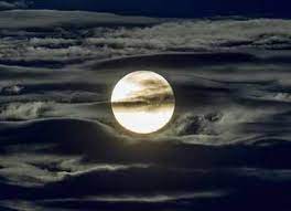 On this day, after bathing in the ganges, all the wishes are fulfilled by offering alms and offering alms. Purnima 2021 Dates Timings Rituals And Significance Times Of India