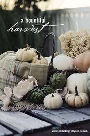 Fantasy Pumpkins A Magical Harvest Of Pastel Fall Splendor Pumpkin Fall Decor Holiday Decorations Fall Fall Thanksgiving