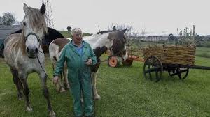 Gini", también confinada