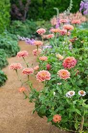 Pin On Gardening