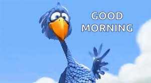 #dance #cat #animation #dancing #coffee. Good Morning Greetings Gif Goodmorning Greetings Bird Discover Share Gifs Funny Gif Good Morning Funny Good Morning Greetings