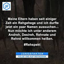 Fakten Sprüche Zitate Photos Videos On Instagram