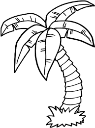 Palm coloring pages are immediately transferred to warm regions to the blue sea and the hot sun. Download Colouring Pages Palm Trees Png Image With No Background Pngkey Com