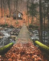 Pin De Iz En Barns Cabins And Cottages Cabanas Rusticas Casa De Selva Casas De Ensueno