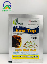 Topsix 82WG