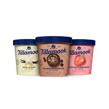 Tillamook Ice Cream 1.75 Qt | Fruit Flavors | Stormans