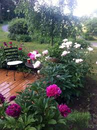 Pin On Gardening