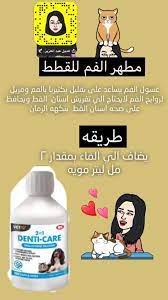 pin on القطط