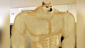 We are shibes who can and will tip. Doge Meme S Shiba Inu Auctioned For Whopping Rs 29 299 Crore Creates World Record