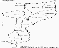 Image result for Uapaca sansibarica