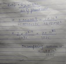 For women, 4.2 to 5.4 million red blood cells per microliter of blood The Size Of Red Blood Cells Is 0 000007m And The Diameter Of A Plant Cell Is 0 00001275m Compare Brainly In