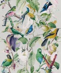 Tropische Vogels Behang Behang Vogel Patronen Behang Ideeen