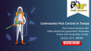 Save money with our coupons & special don't let them inside at all with our preventative pest control in riverview, fl. Professional Cockroach Pest Control Company Tampa Florida