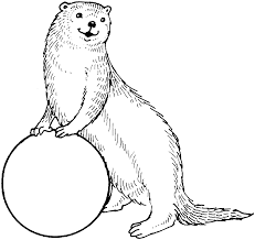 Colouring Pages Otters And More Otters Animal Coloring Pages Coloring Pages Spiderman Coloring