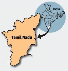 Pandemic profiteering adds to the pain. Tamil Nadu S Cauvery Delta Districts Where Cyclone Gaja Swirled Through Are Picking Up The Pieces The Hindu