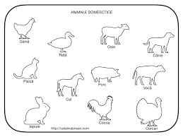 Check spelling or type a new query. Animalele Domestice Fisa De Colorat