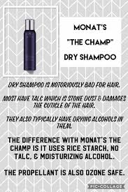 The Champ Dry Shampoo Monat Dry Shampoo Monat Dry Shampoo