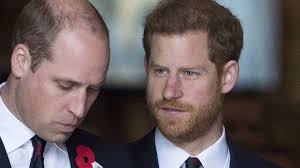 Funérailles du prince Philip : Les émouvantes retrouvailles des princes  Harry et William, à la sortie des funérailles de leur grand-père