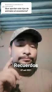 Descubre el impactante mundo de los parásitos con Jane Maza