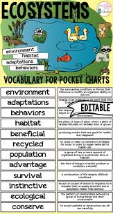 Ecosystems Pocket Chart Vocabulary Editable Teaching Ecosystems Teaching Science Ecosystems