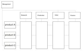 Matrix Organizational Chart Explained With A Diagram