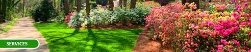 Check spelling or type a new query. Lawn Care Services Greenville Sc