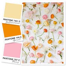 The combination of pink and teal has come a long way in recent years. Soft Yellow Orange And Pink Color Palette Sarah Hearts