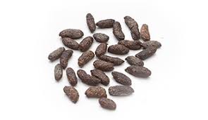 Being able to identify the excrement that is left behind allows you to gain valuable insight into the animals that frequent your property or, in some cases. Watch For These Rodent Infestation Signs In Your Home Tomcat