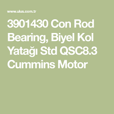 3901430 Con Rod Bearing Biyel Kol Yatagi Std Qsc8 3 Cummins Motor Cummins Motorlar