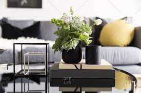 Browse 121 coffee table flower arrangement on houzz whether you want inspiration for planning coffee table flower arrangement or are building designer coffee table flower arrangement from scratch, houzz has 121 pictures from the best designers, decorators, and architects in the country, including dufner heighes inc and chez roberts design. Green And White Flower Arrangement On Coffee Table In Modern Living Room Stock Photo Offset